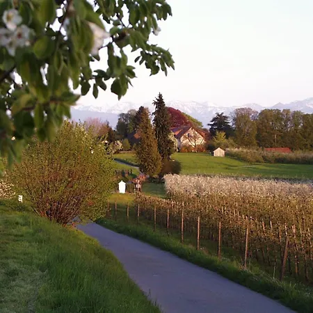 Baumanns Am Lägenhet Bettnau