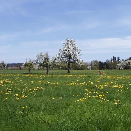 Appartement Baumanns Am *