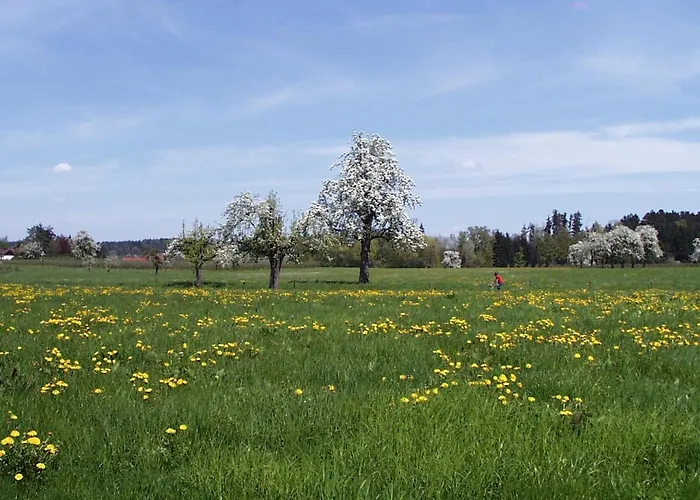 Baumanns Am * Bettnau