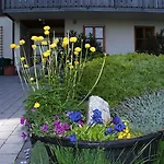 Baumanns Am