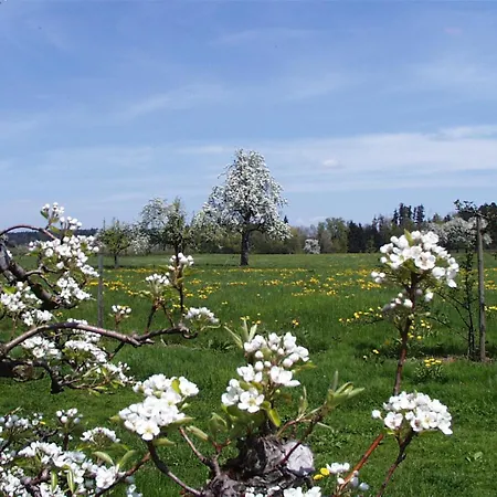 Baumanns Am Apartman *