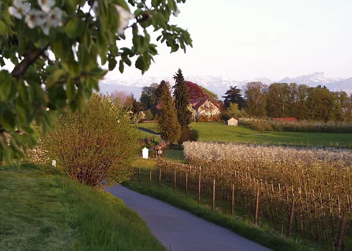 Baumanns Am Daire Bettnau